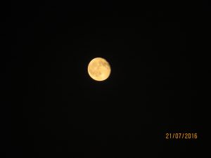 Luna 16-07-21