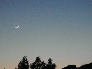 Flaca 16-04-08 Ondara