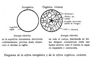 Fórmula del orgasmo a