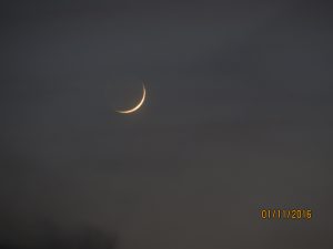 flaca-16-11-01-kamala