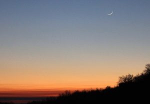 flaca-16-12-30-mahakali