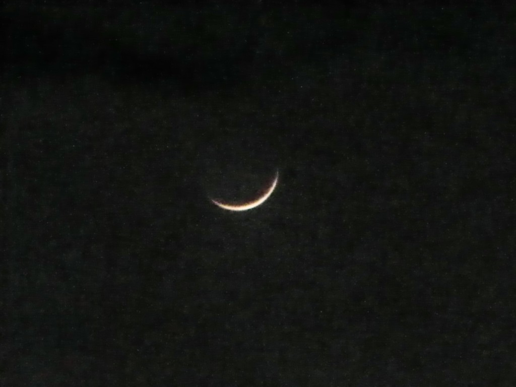 Luna KaliMa'16