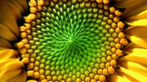 Inteligencia natural b