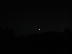 Flaca Vajrayogini'16 b