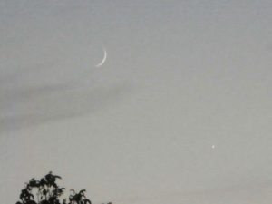 Shodashi 16 (1) a Flaca-Venus